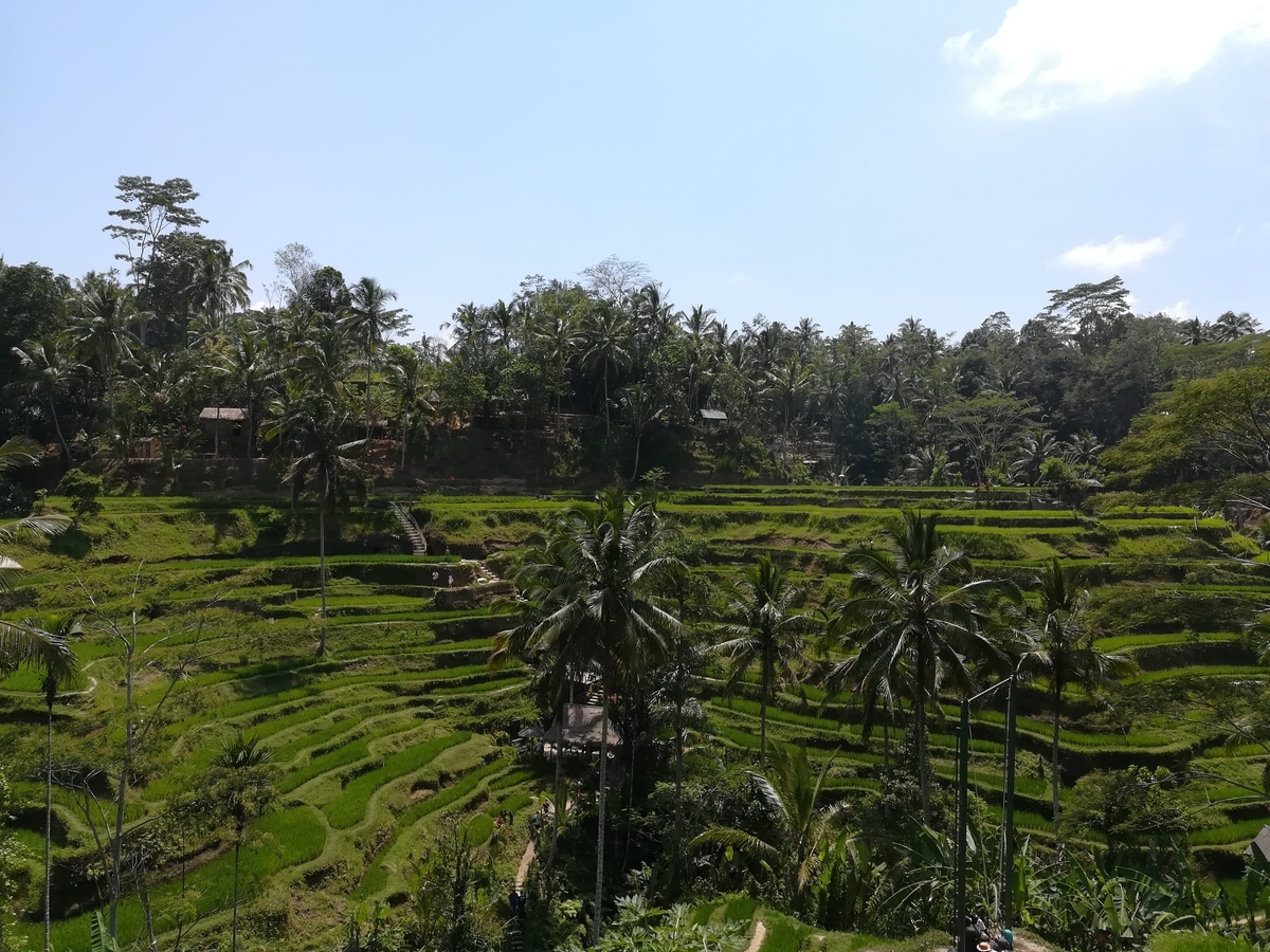 f:id:travelfufu:20210101181511j:plain