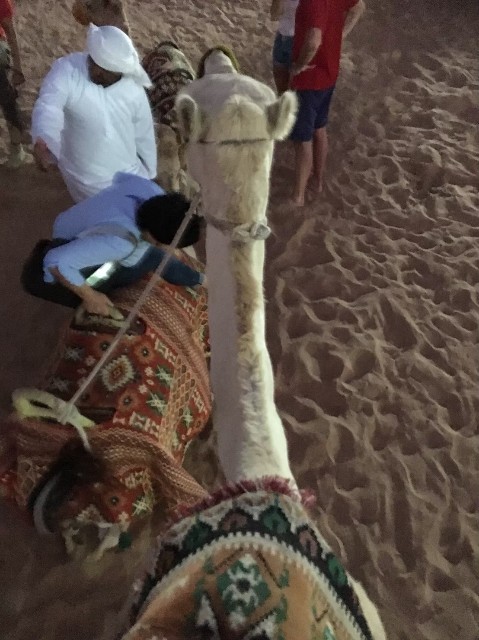 f:id:travelingworldwide:20200426142807j:image f:id:travelingworldwide:20200426142807j:image