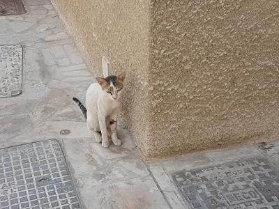 f:id:travelingworldwide:20200426144637j:image f:id:travelingworldwide:20200426144637j:image