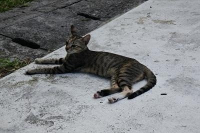 f:id:travelingworldwide:20200426230014j:image f:id:travelingworldwide:20200426230014j:image