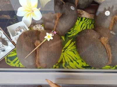 f:id:travelingworldwide:20200426233230j:image f:id:travelingworldwide:20200426233230j:image