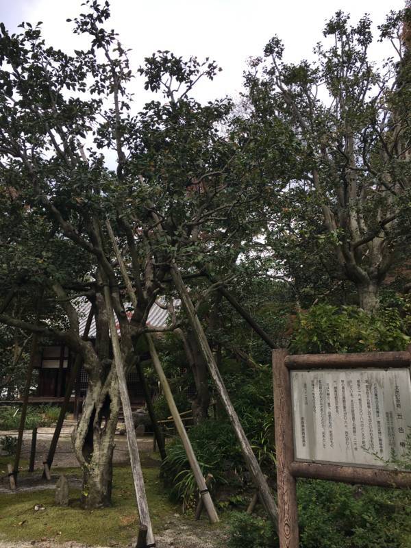 f:id:traveljapankyoto:20180731165032j:plain f:id:traveljapankyoto:20180731165032j:plain