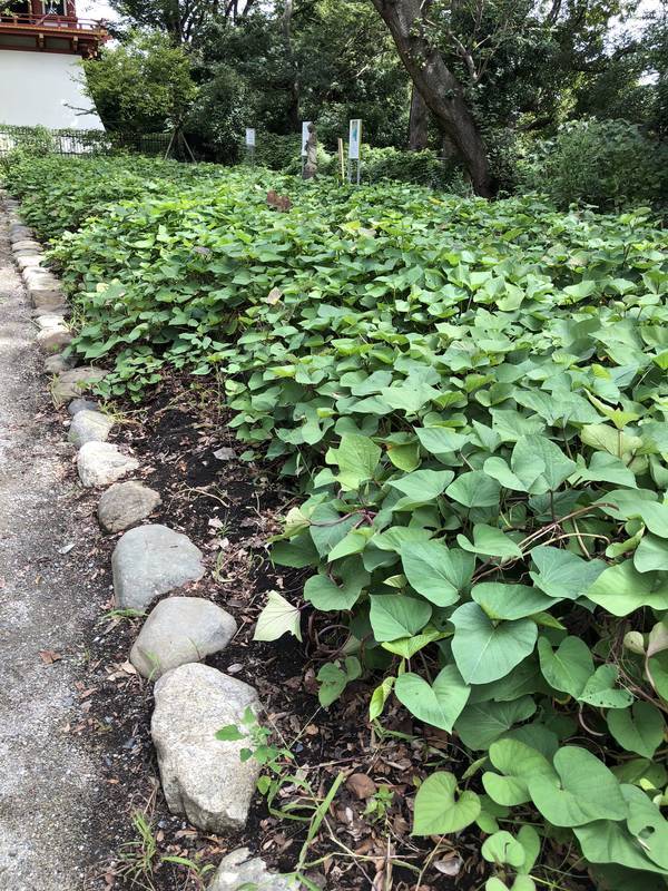 f:id:traveljapankyoto:20180926092950j:plain f:id:traveljapankyoto:20180926092950j:plain