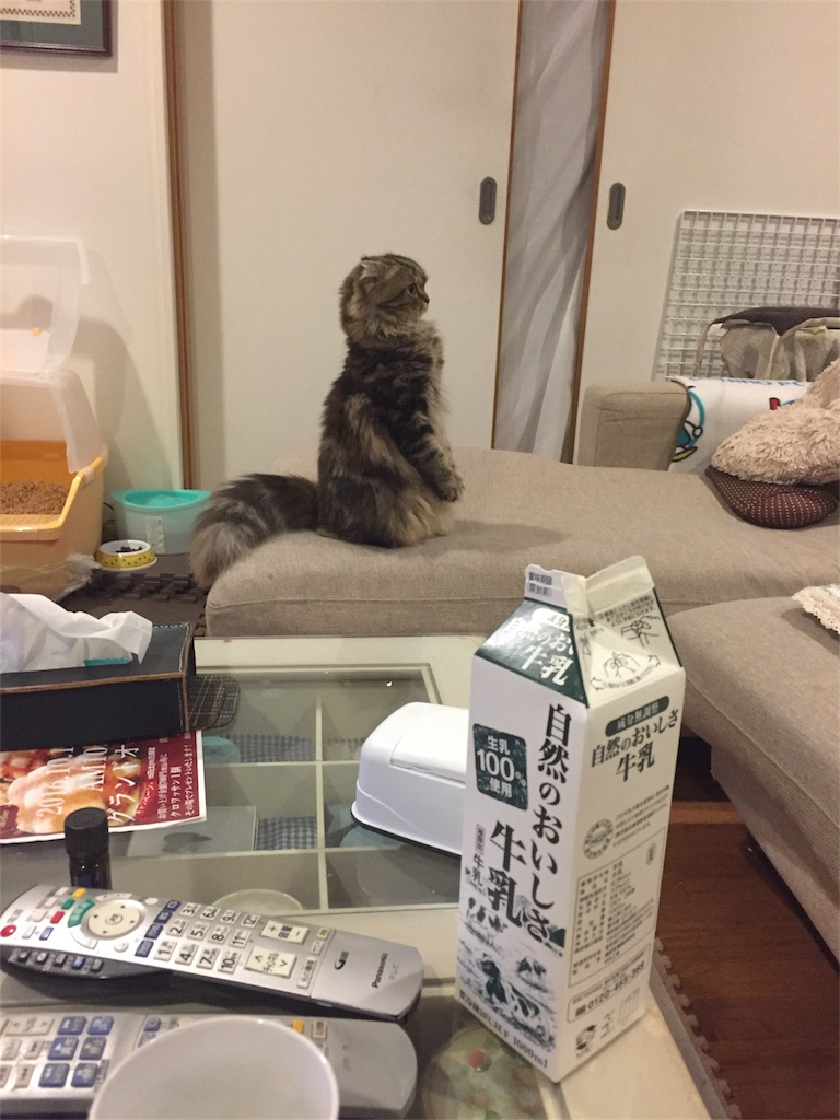 f:id:travellersblog:20161229150709j:image