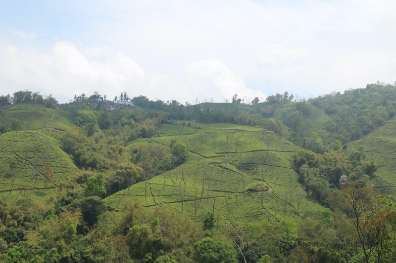 f:id:travellingaroundindia:20200321223716j:plain