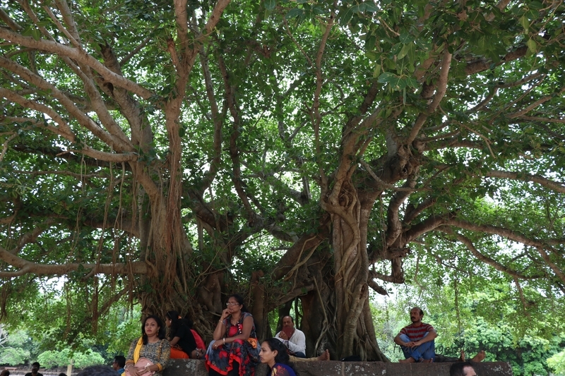 f:id:travellingaroundindia:20200329011405j:plain