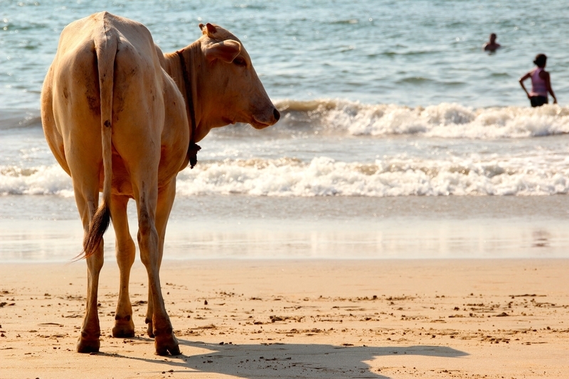 f:id:travellingaroundindia:20200510212749j:plain f:id:travellingaroundindia:20200510212749j:plain