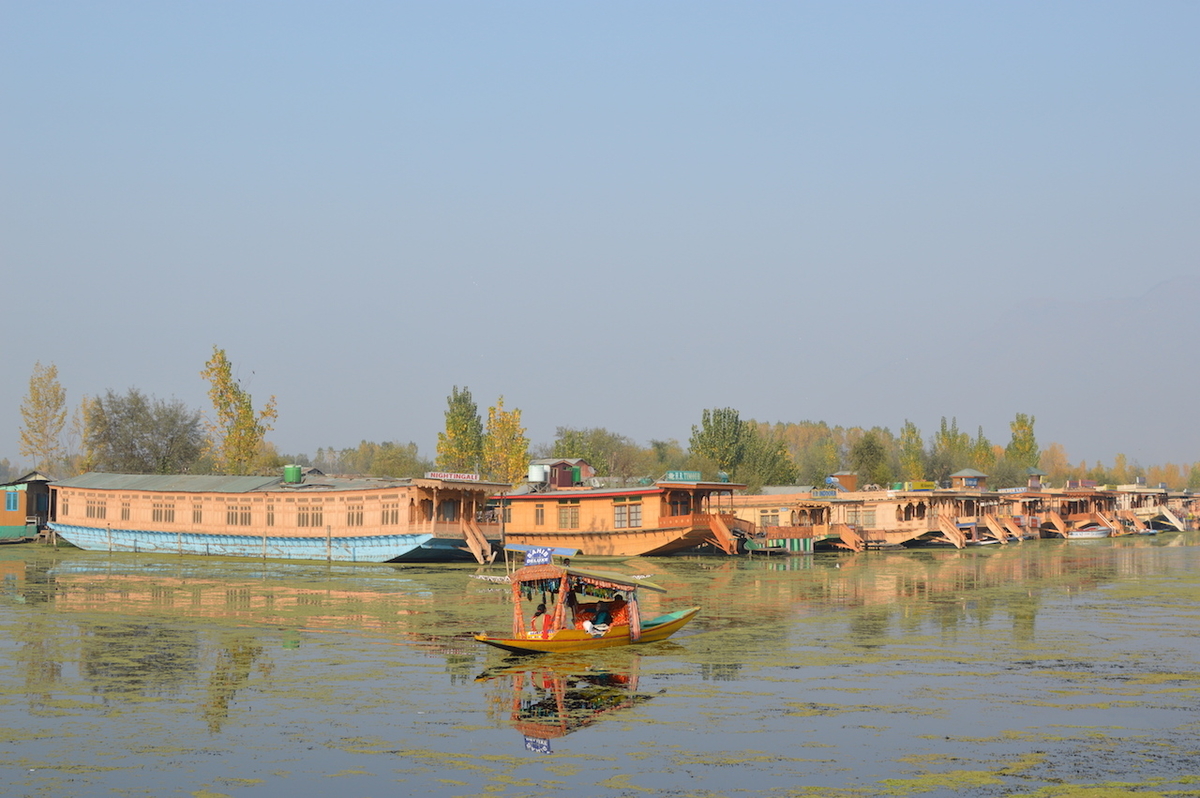 インド スリナガル観光 世界一のチャイを探しに