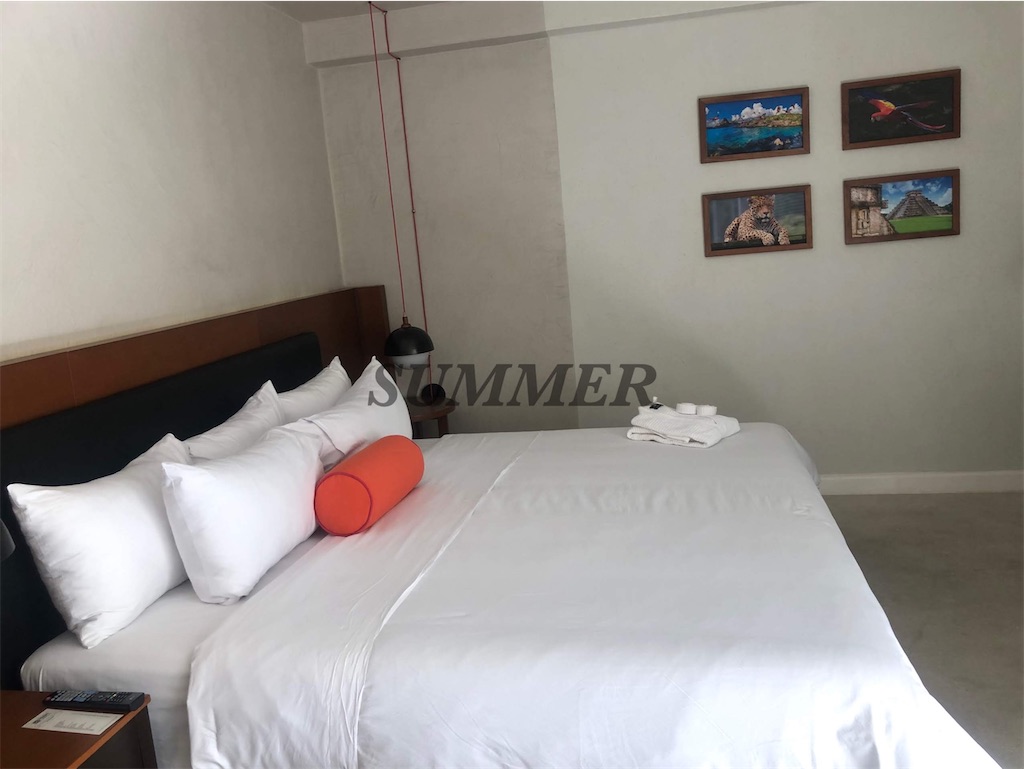 f:id:traveltogether:20191223115529j:image
