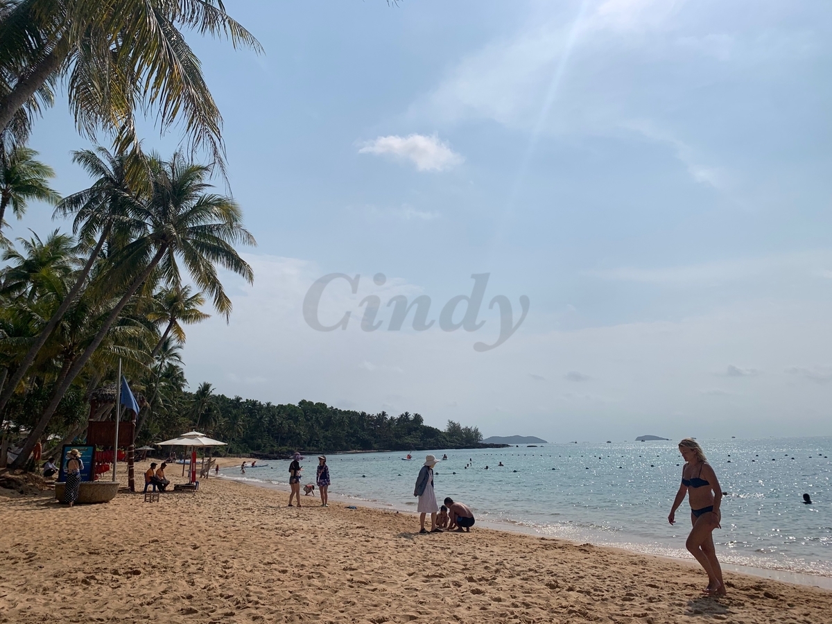 f:id:traveltogether:20200114211141j:plain