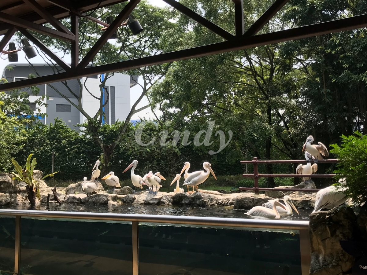 f:id:traveltogether:20200120152428j:plain