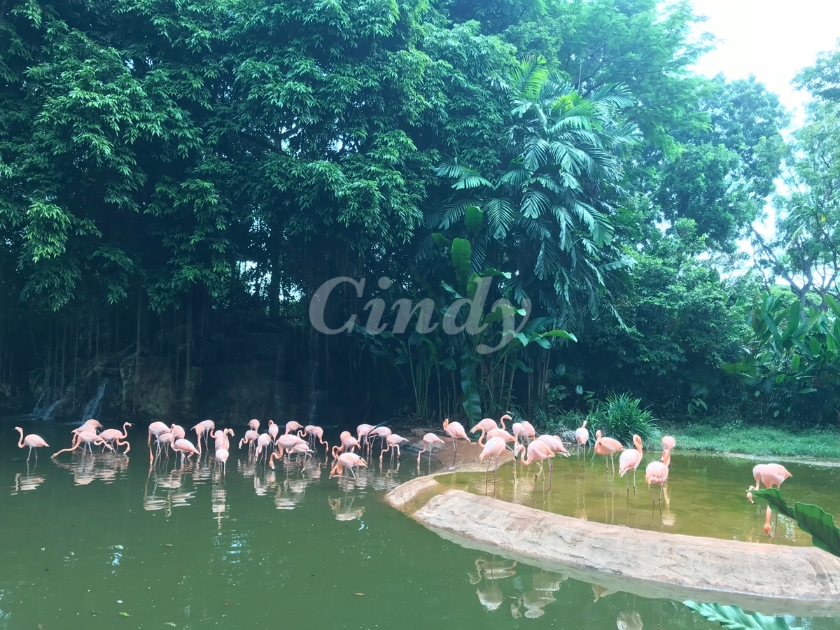 f:id:traveltogether:20200120152524j:plain