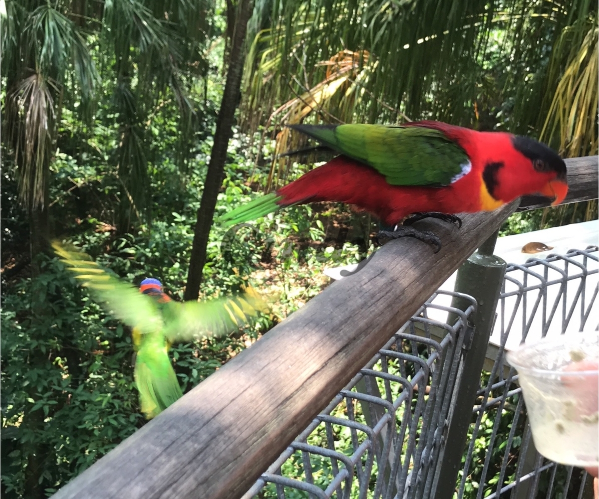 f:id:traveltogether:20200120153603j:plain