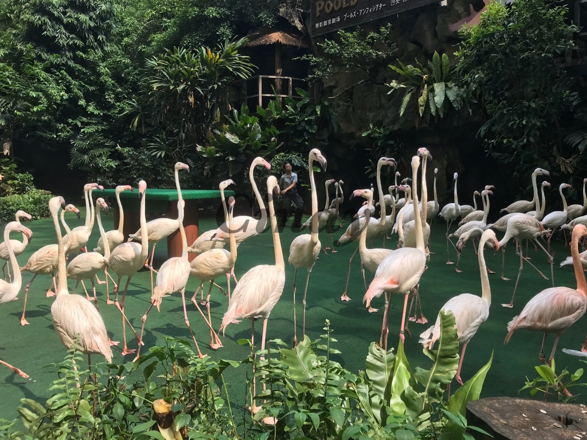 f:id:traveltogether:20200120154015j:plain