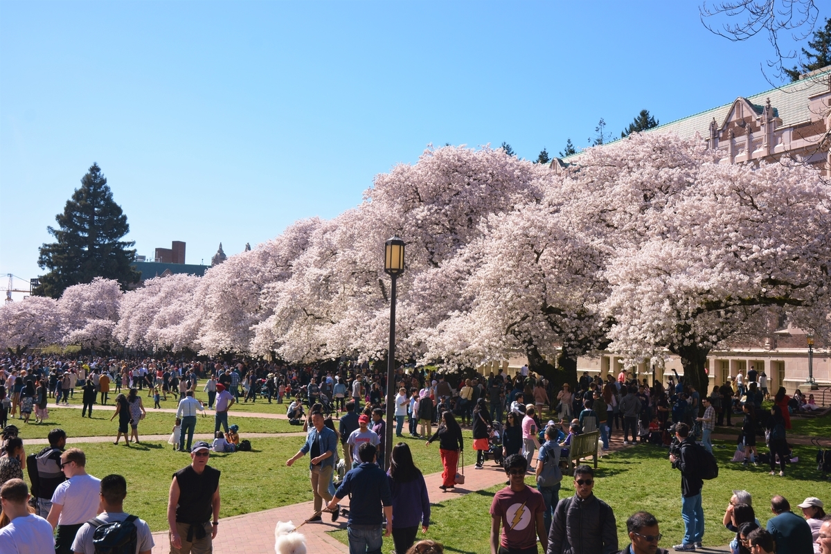 f:id:travelvlogger:20190424005131j:plain f:id:travelvlogger:20190424005131j:plain