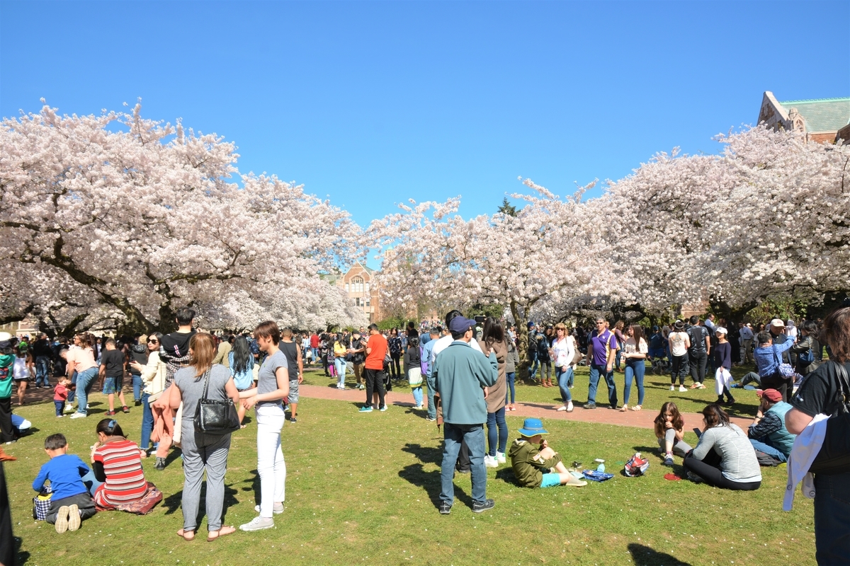 f:id:travelvlogger:20190424005436j:plain f:id:travelvlogger:20190424005436j:plain
