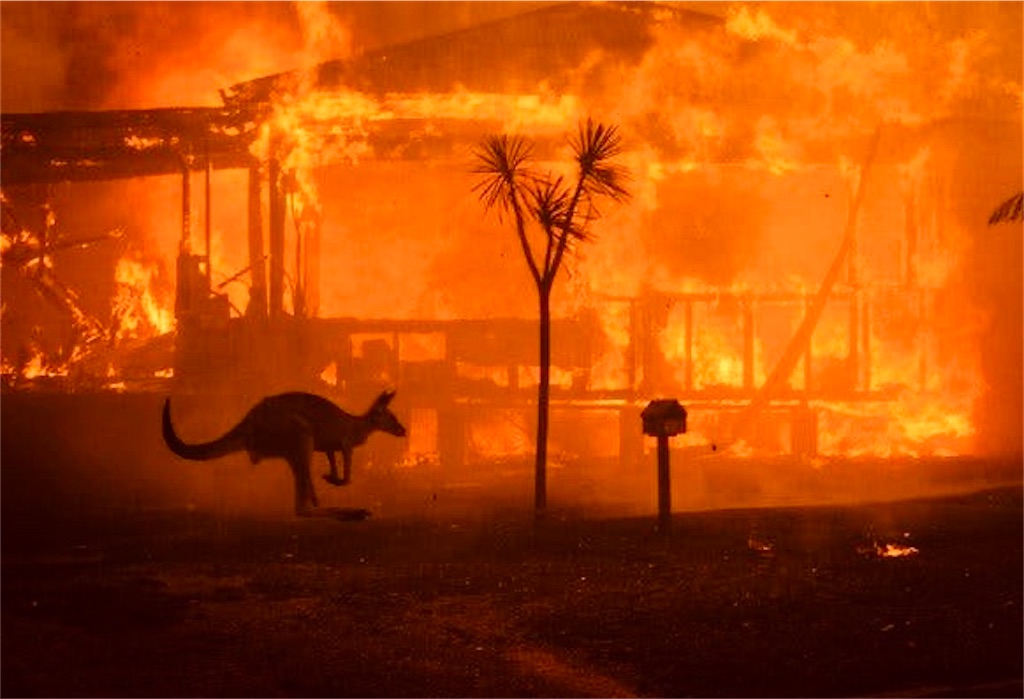 オーストラリア 火災 現状