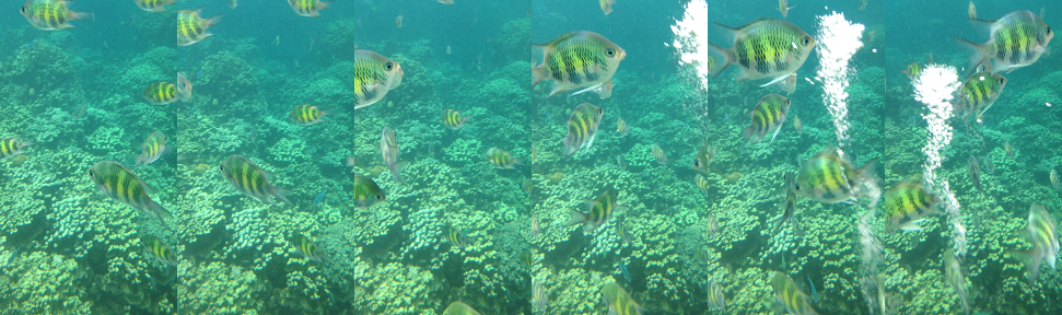 f:id:travelwz:20151202172342p:plain f:id:travelwz:20151202172342p:plain