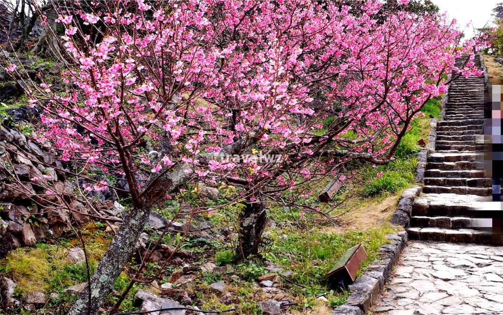 f:id:travelwz:20160215145034j:image f:id:travelwz:20160215145034j:image