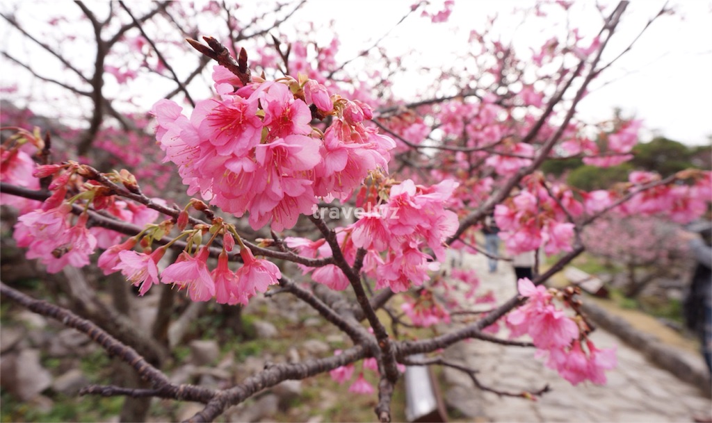 f:id:travelwz:20160215151951j:image f:id:travelwz:20160215151951j:image