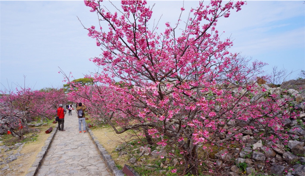 f:id:travelwz:20160215152715j:image f:id:travelwz:20160215152715j:image