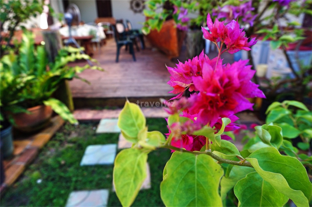 f:id:travelwz:20160224230549j:image f:id:travelwz:20160224230549j:image