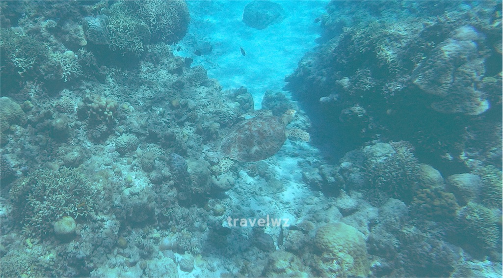 f:id:travelwz:20160227120133j:image f:id:travelwz:20160227120133j:image