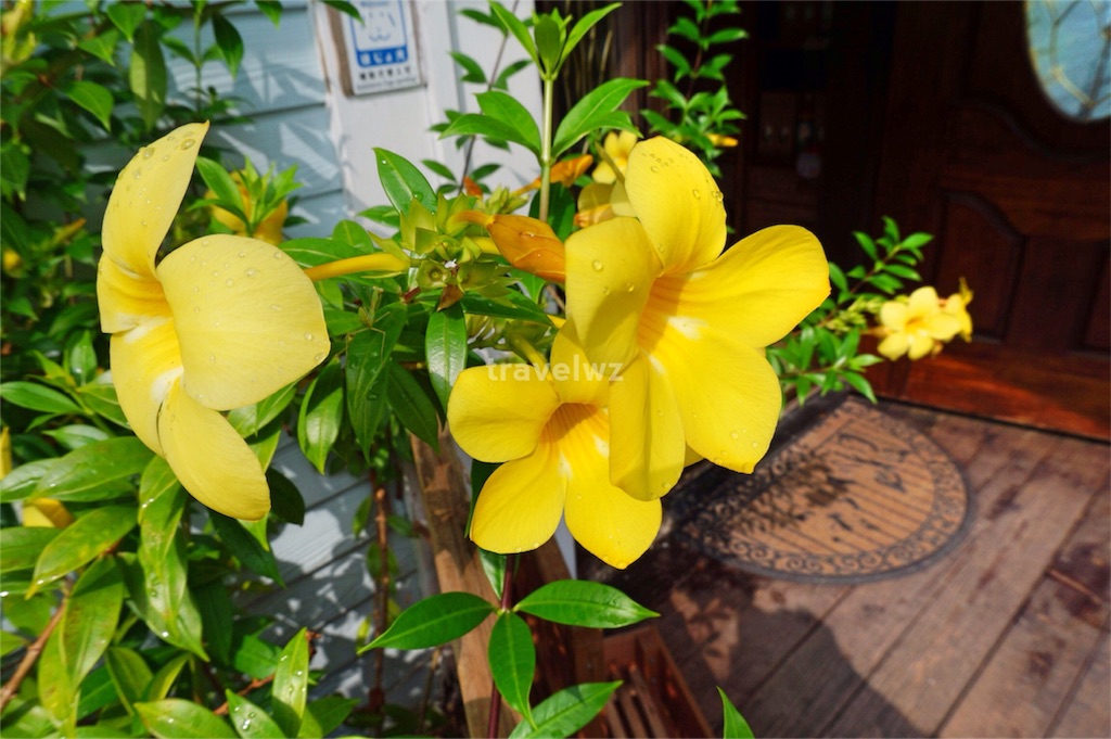f:id:travelwz:20160309100618j:image f:id:travelwz:20160309100618j:image