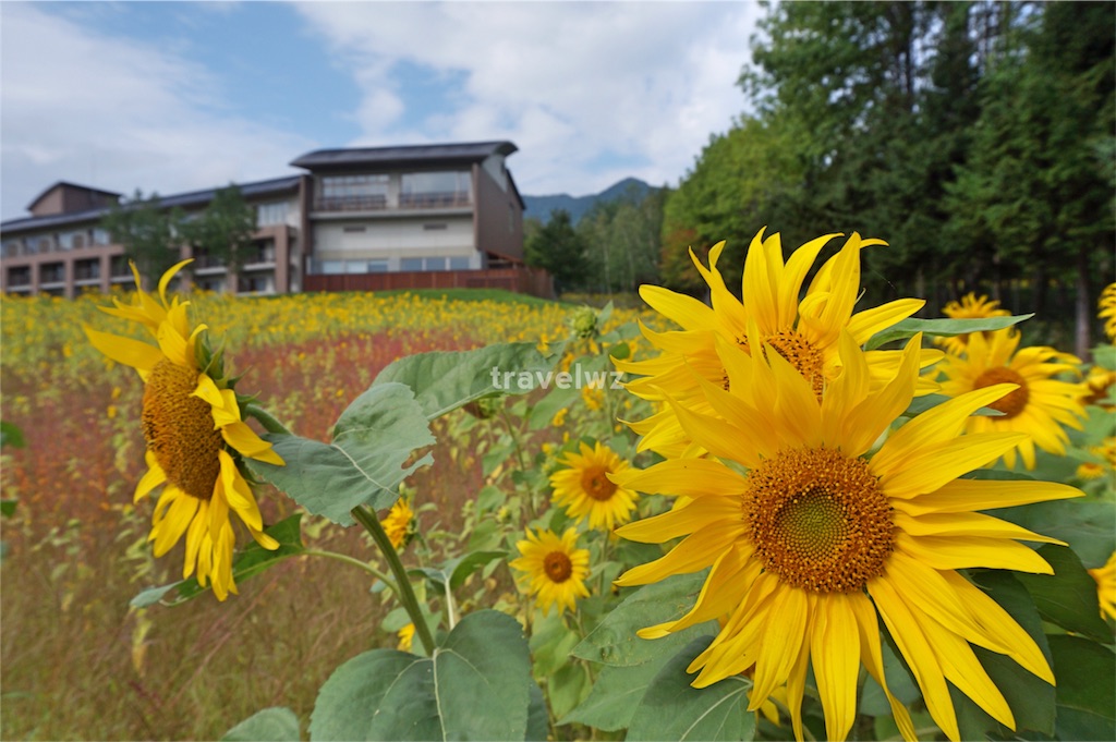 f:id:travelwz:20160616122955j:image f:id:travelwz:20160616122955j:image