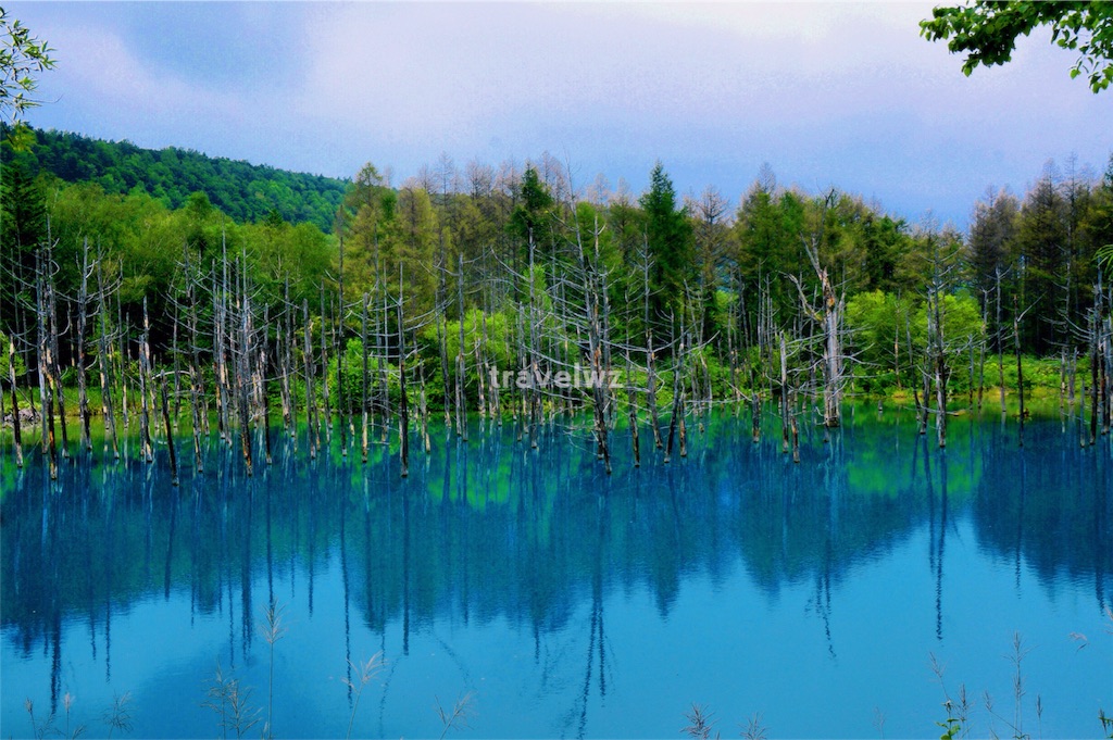 f:id:travelwz:20160617084606j:image f:id:travelwz:20160617084606j:image