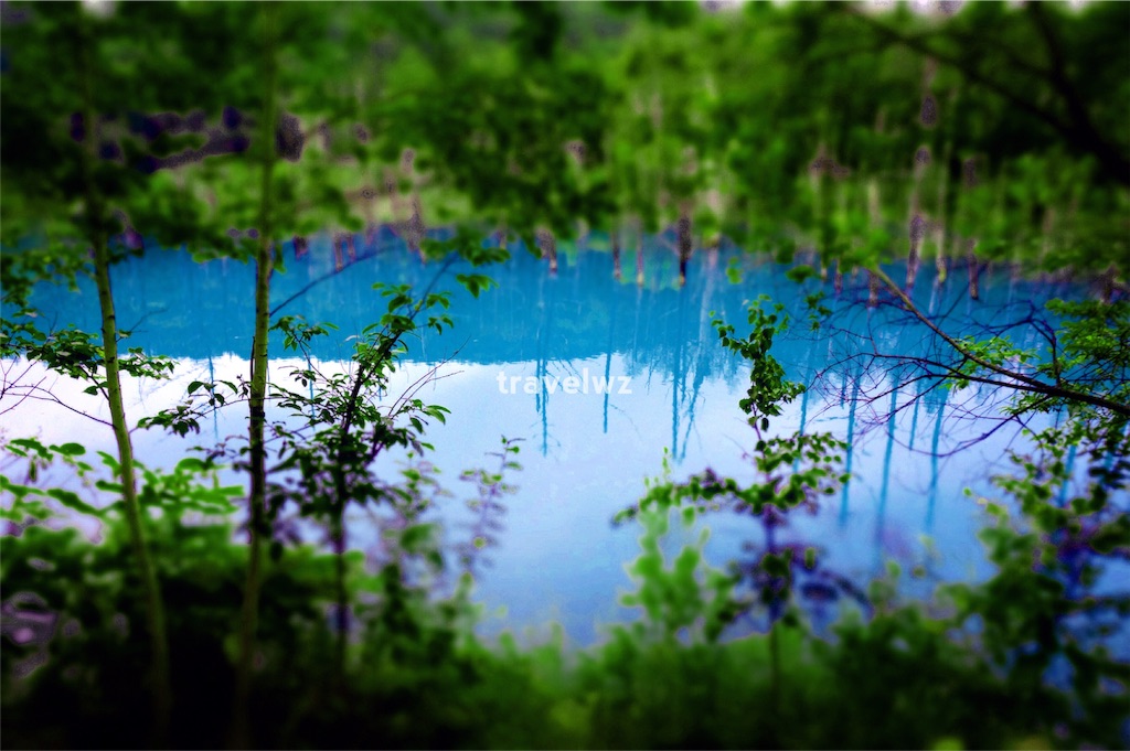 f:id:travelwz:20160617090702j:image f:id:travelwz:20160617090702j:image