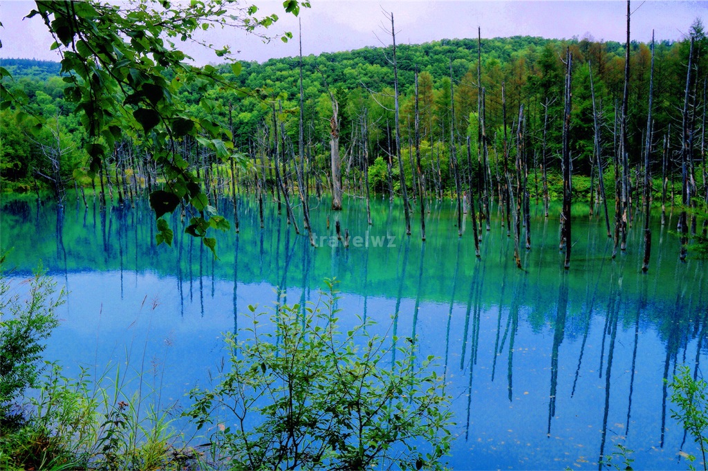 f:id:travelwz:20160617092611j:image f:id:travelwz:20160617092611j:image