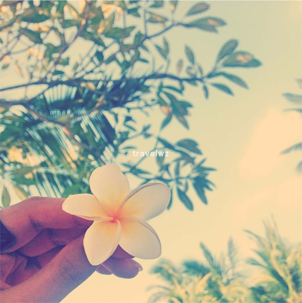 f:id:travelwz:20160627202832j:image f:id:travelwz:20160627202832j:image