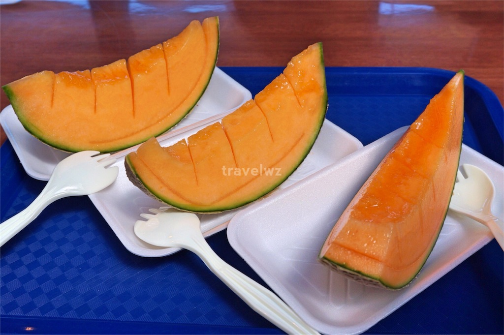 f:id:travelwz:20160719102249j:image f:id:travelwz:20160719102249j:image