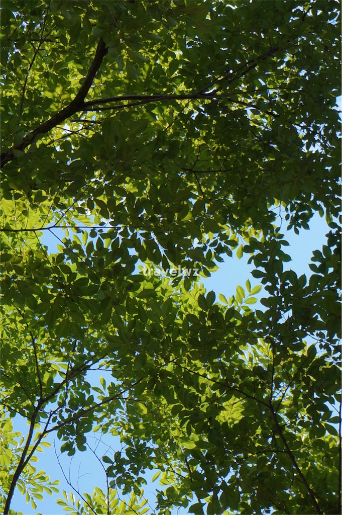 f:id:travelwz:20160820112912j:image,w300 f:id:travelwz:20160820112912j:image,w300