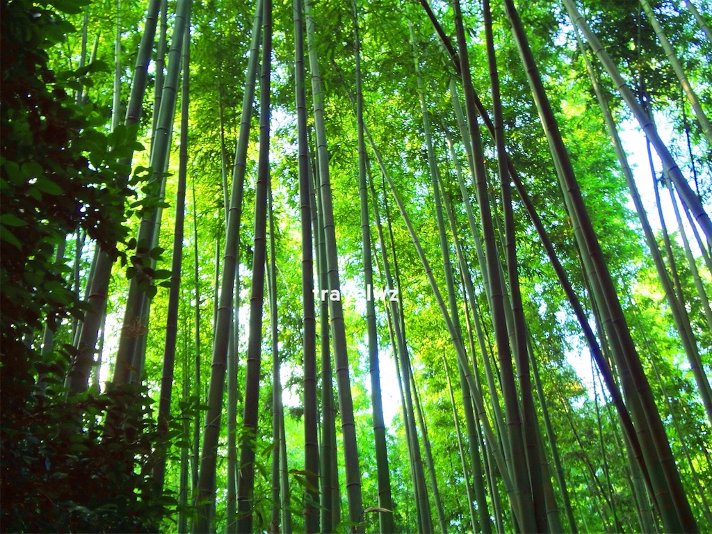 f:id:travelwz:20160824101833j:image f:id:travelwz:20160824101833j:image