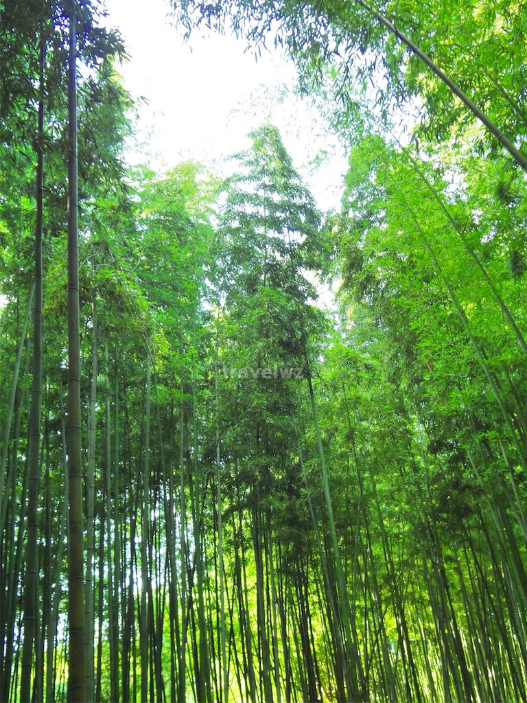 f:id:travelwz:20160824101842j:image,w300 f:id:travelwz:20160824101842j:image,w300