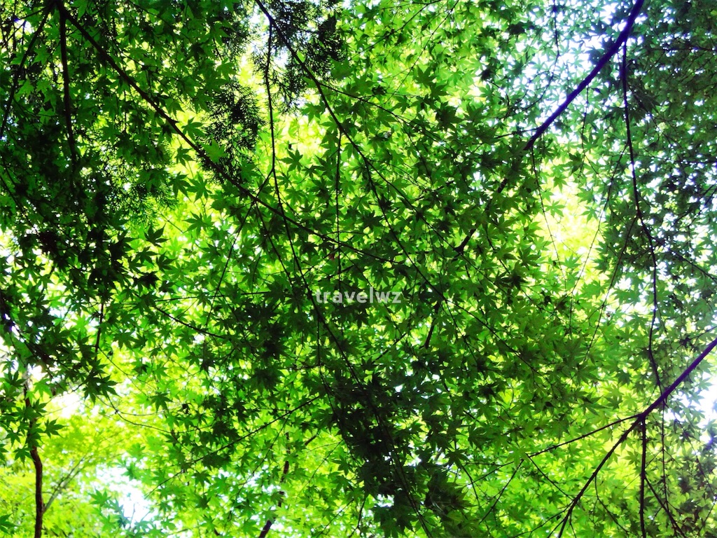 f:id:travelwz:20160825110306j:image f:id:travelwz:20160825110306j:image