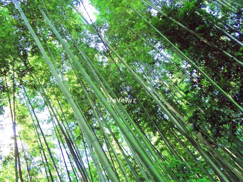 f:id:travelwz:20160825110802j:image f:id:travelwz:20160825110802j:image