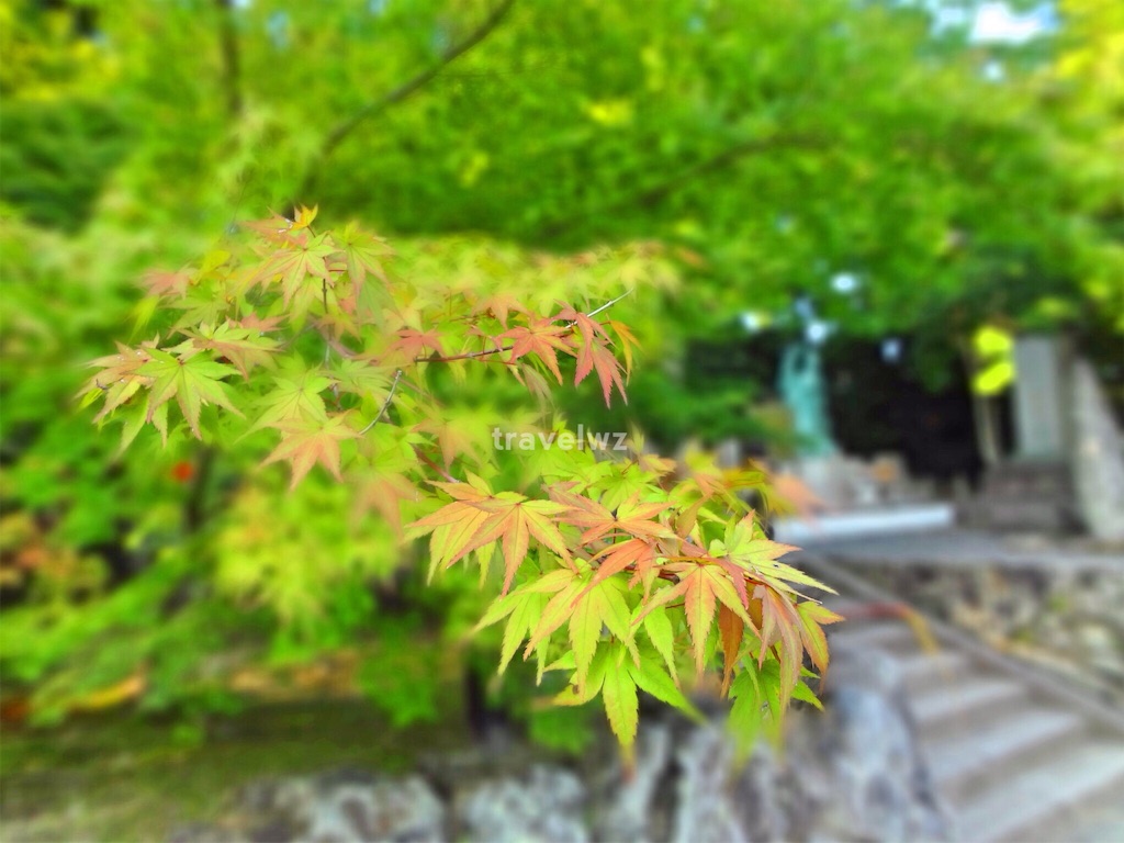 f:id:travelwz:20160825120701j:image f:id:travelwz:20160825120701j:image
