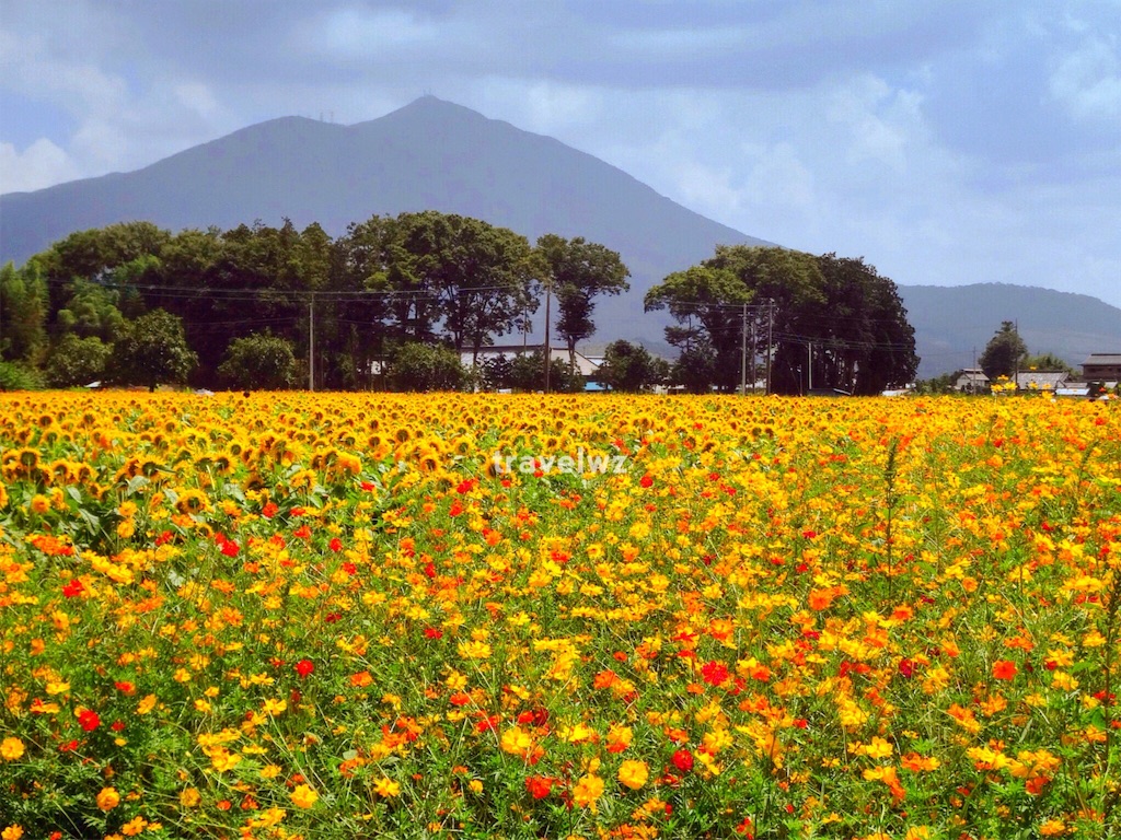 f:id:travelwz:20160901143537j:image f:id:travelwz:20160901143537j:image