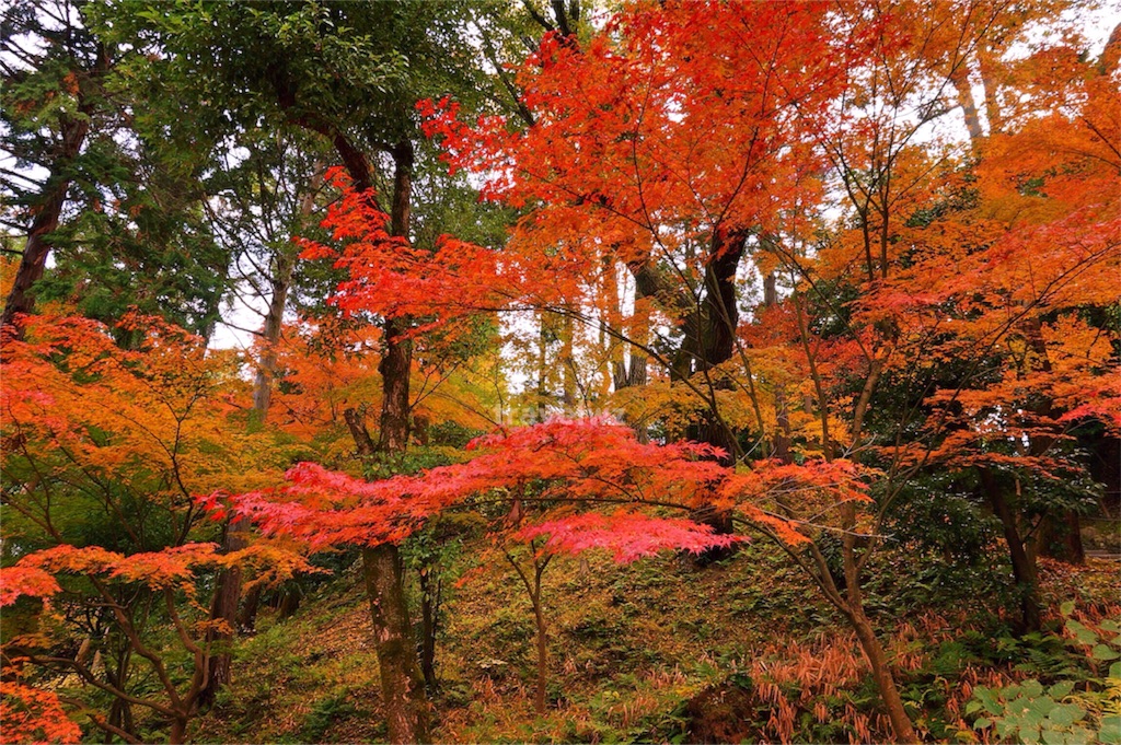 f:id:travelwz:20161014131716j:image f:id:travelwz:20161014131716j:image