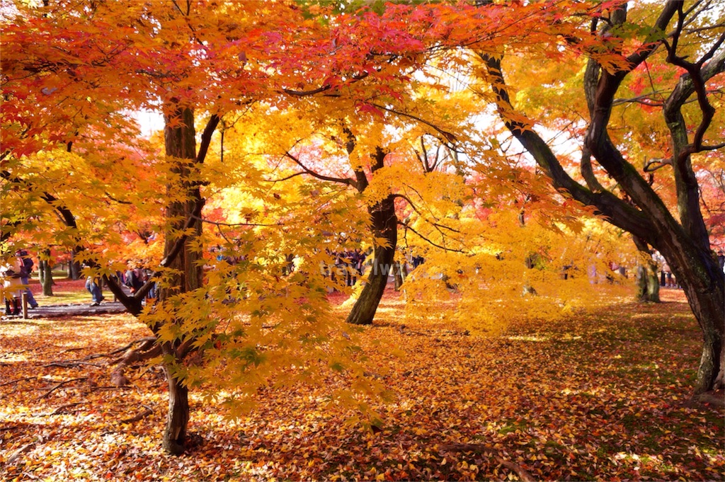 f:id:travelwz:20161014232457j:image f:id:travelwz:20161014232457j:image