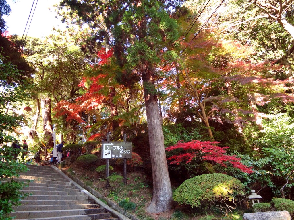 f:id:travelwz:20161029185614j:image f:id:travelwz:20161029185614j:image