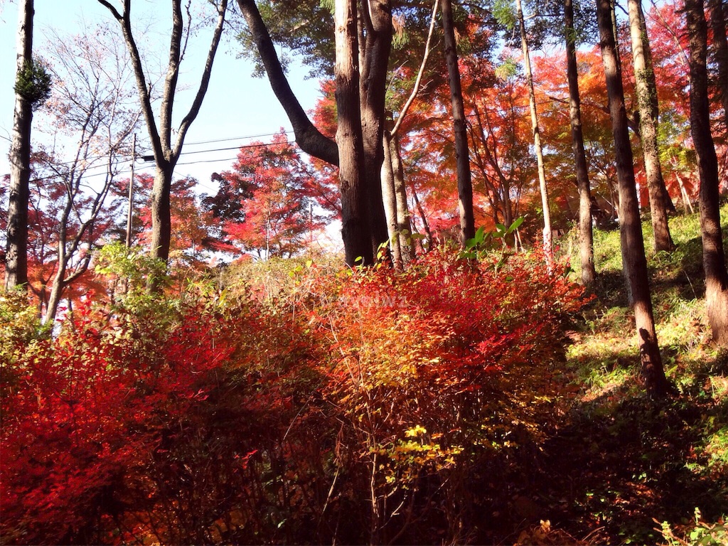 f:id:travelwz:20161031171614j:image f:id:travelwz:20161031171614j:image