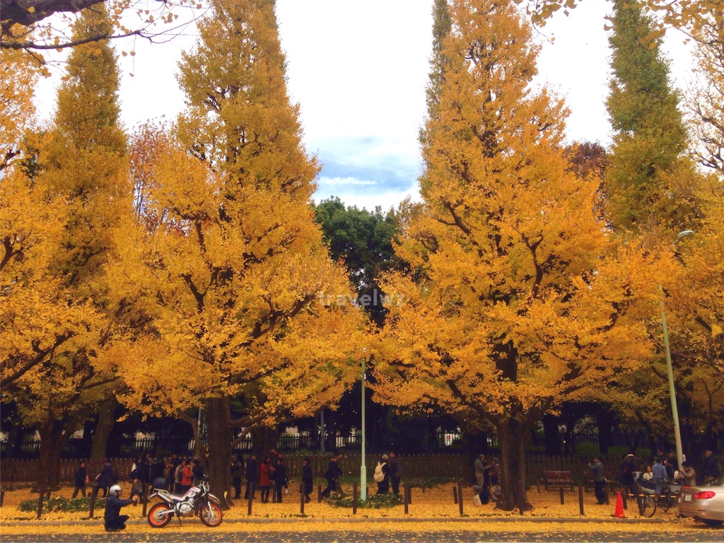 f:id:travelwz:20161128221021j:image f:id:travelwz:20161128221021j:image