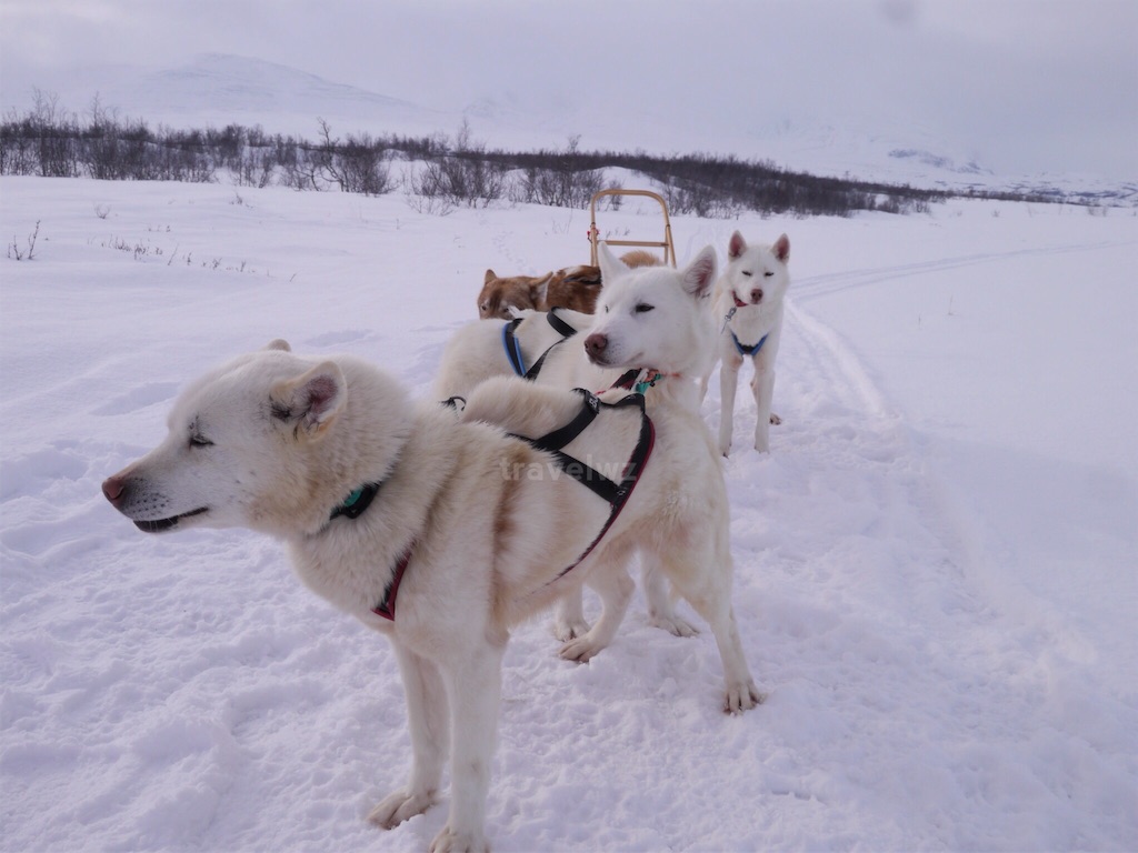 f:id:travelwz:20170122195251j:image f:id:travelwz:20170122195251j:image