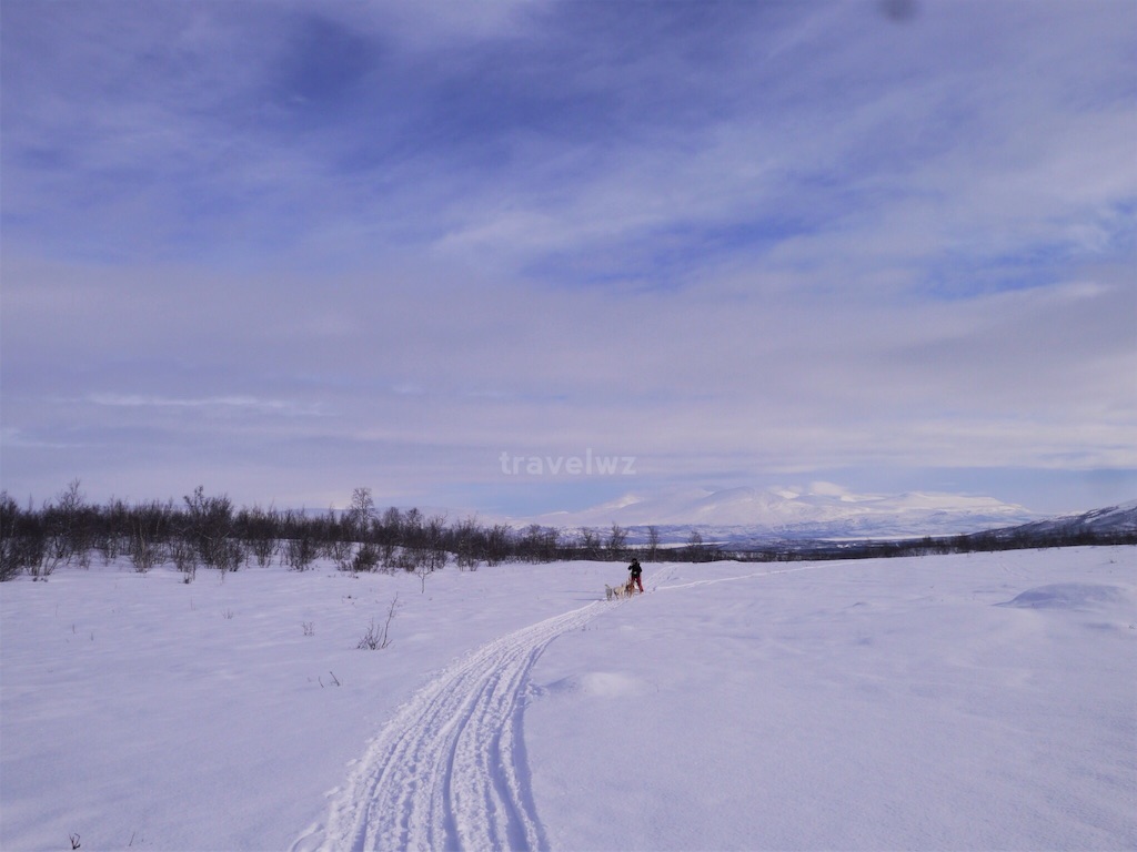 f:id:travelwz:20170122202537j:image f:id:travelwz:20170122202537j:image