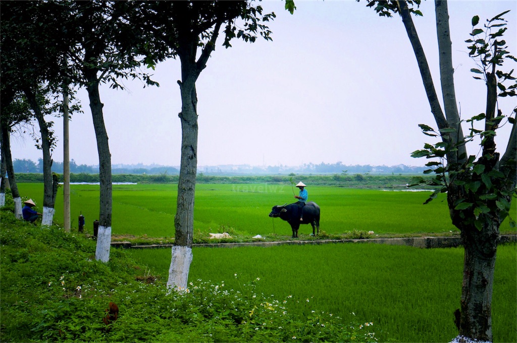 f:id:travelwz:20170306213526j:image f:id:travelwz:20170306213526j:image