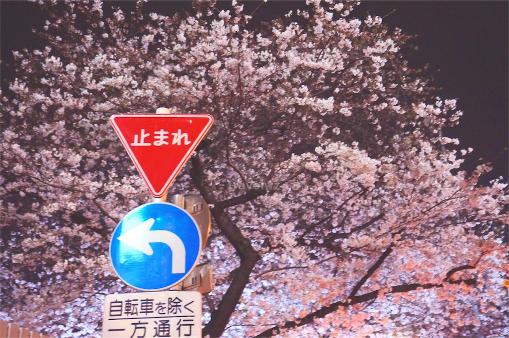 f:id:travelwz:20170406200143j:image f:id:travelwz:20170406200143j:image
